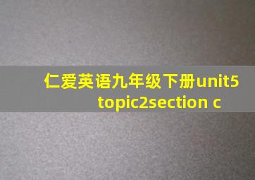 仁爱英语九年级下册unit5topic2section c